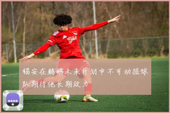 锡安在鹈鹕未来计划中不可动摇球队期待他长期效力
