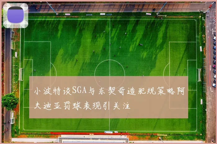 小波特谈SGA与东契奇造犯规策略阿夫迪亚罚球表现引关注