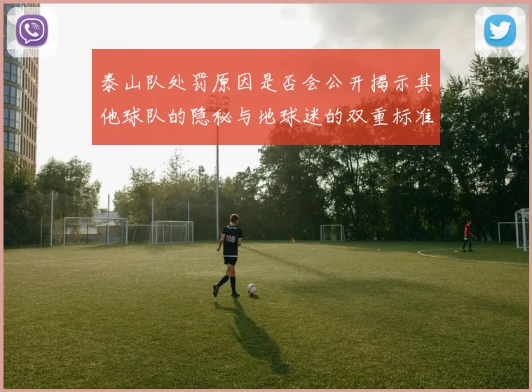 泰山队处罚原因是否会公开揭示其他球队的隐秘与地球迷的双重标准