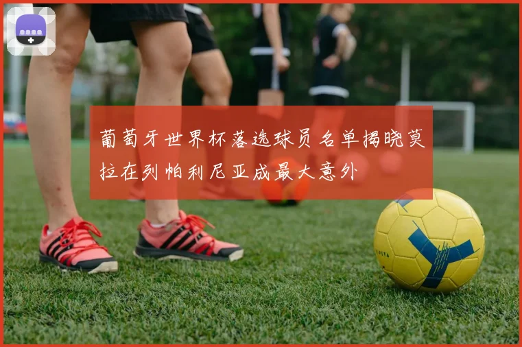 葡萄牙世界杯落选球员名单揭晓莫拉在列帕利尼亚成最大意外